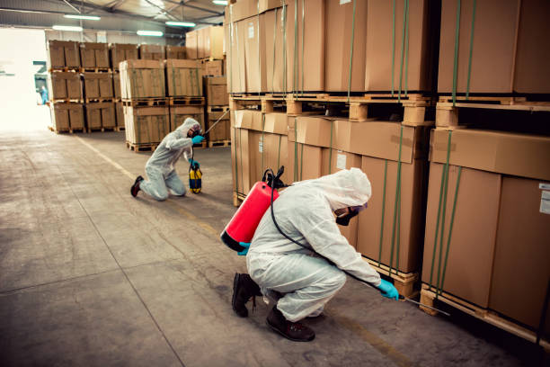 Best Pest Control for Restaurants  in Cutler, CA