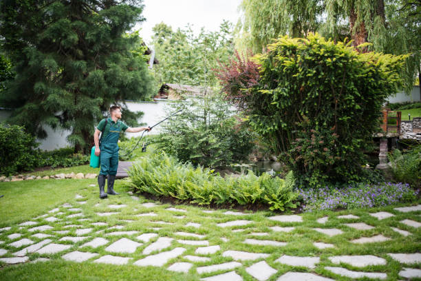 Best Cockroach Control Services  in Cutler, CA